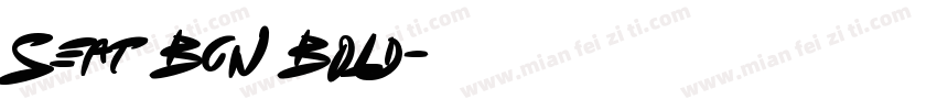 Seat Bcn Bold字体转换